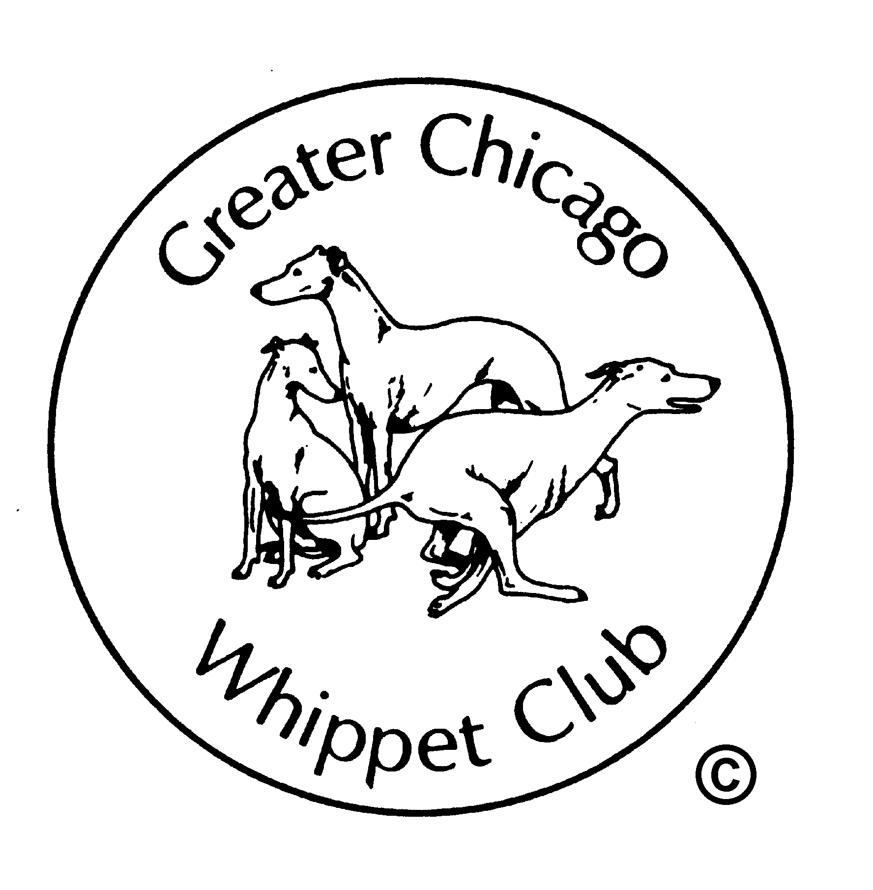 Greater chicago cheap whippet club